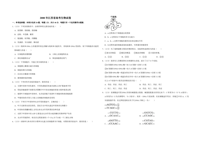 2008年江苏省高考生物试卷_全国卷+地方卷_6.生物_1.生物高考真题试卷_2008-2020年_地方卷_江苏高考生物07-20_A3word版_PDF版（赠送）