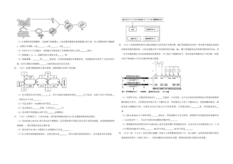 2007年江苏省高考生物试卷_全国卷+地方卷_6.生物_1.生物高考真题试卷_2008-2020年_地方卷_江苏高考生物07-20_A3word版