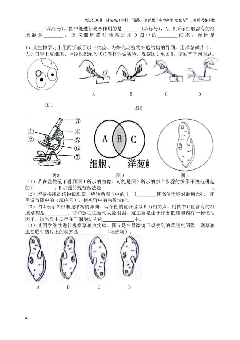 专题03显微镜的结构、功能和使用（原卷版）_02中考总复习（2026版更新中）_08-生物-中考总复习_2024年中考复习资料_一轮复习_配套练习