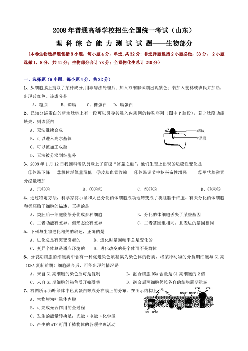 2008年高考真题生物（山东卷）（原卷版）_全国卷+地方卷_6.生物_1.生物高考真题试卷_2008-2020年_地方卷_山东高考生物08-21_山东高考生物_A4版_pdf版