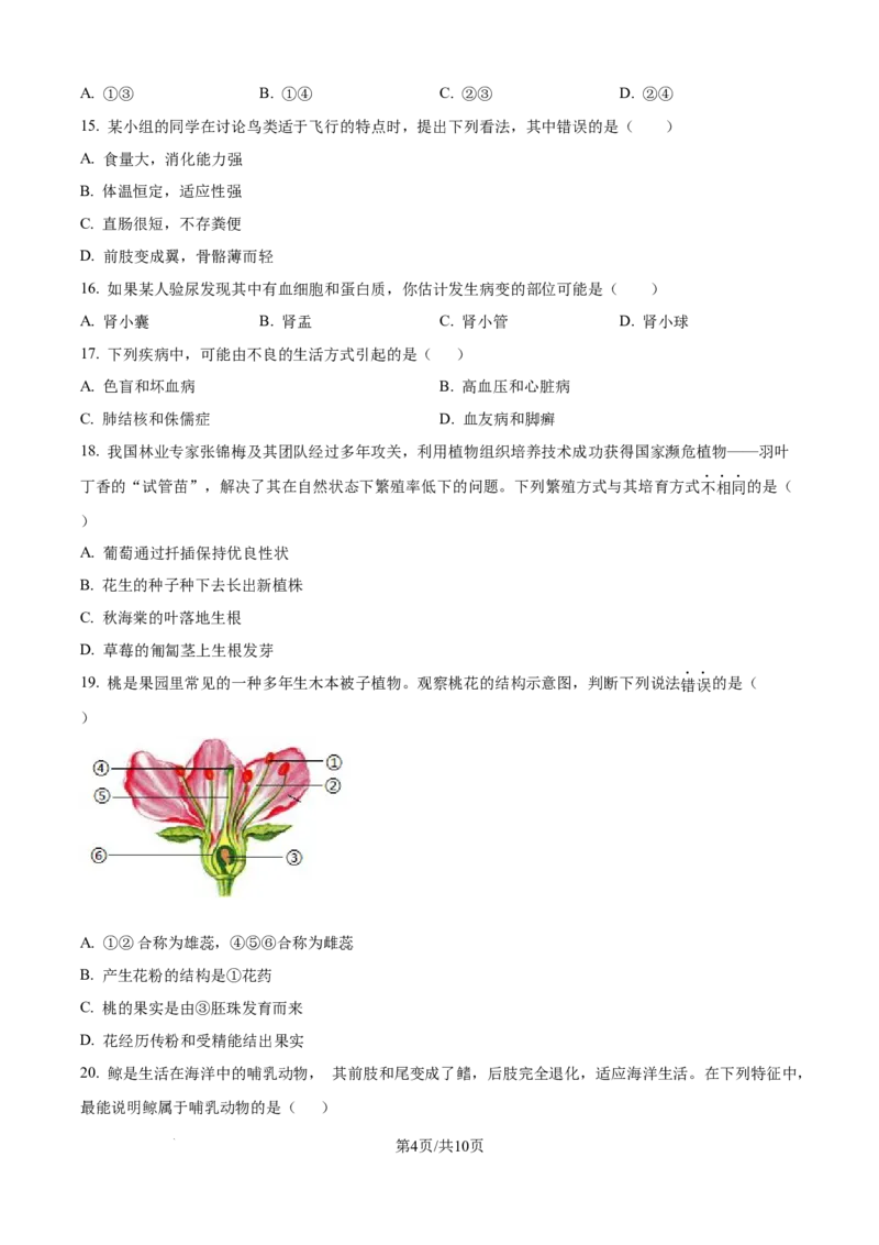 精品解析：2024年江苏省宿迁市中考生物真题（原卷版）_江苏省中考_01江苏省13市中考历年真题2008-2025新_、中考全套_江苏省中考历年真题_江苏中考生物(2010年-2024年）