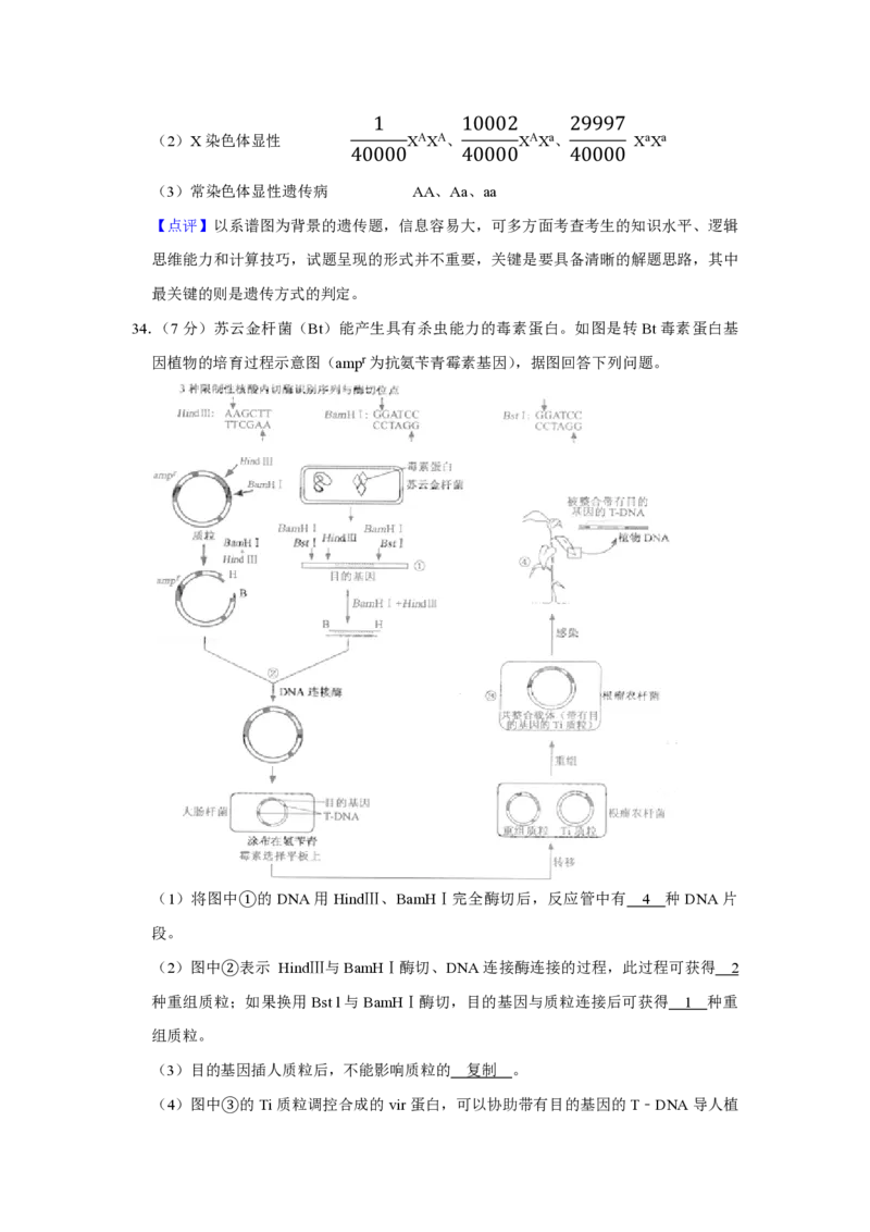 2009年江苏省高考生物试卷解析版_全国卷+地方卷_6.生物_1.生物高考真题试卷_2008-2020年_地方卷_江苏高考生物07-20_A4word版_PDF版（赠送）