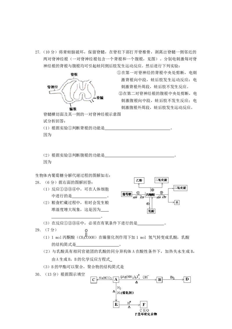 2003年北京高考理综真题及答案_全国卷+地方卷_4.物理_1.物理高考真题试卷_1990-2007年各地高考历年真题_2001-2007年各地理综历年真题_北京