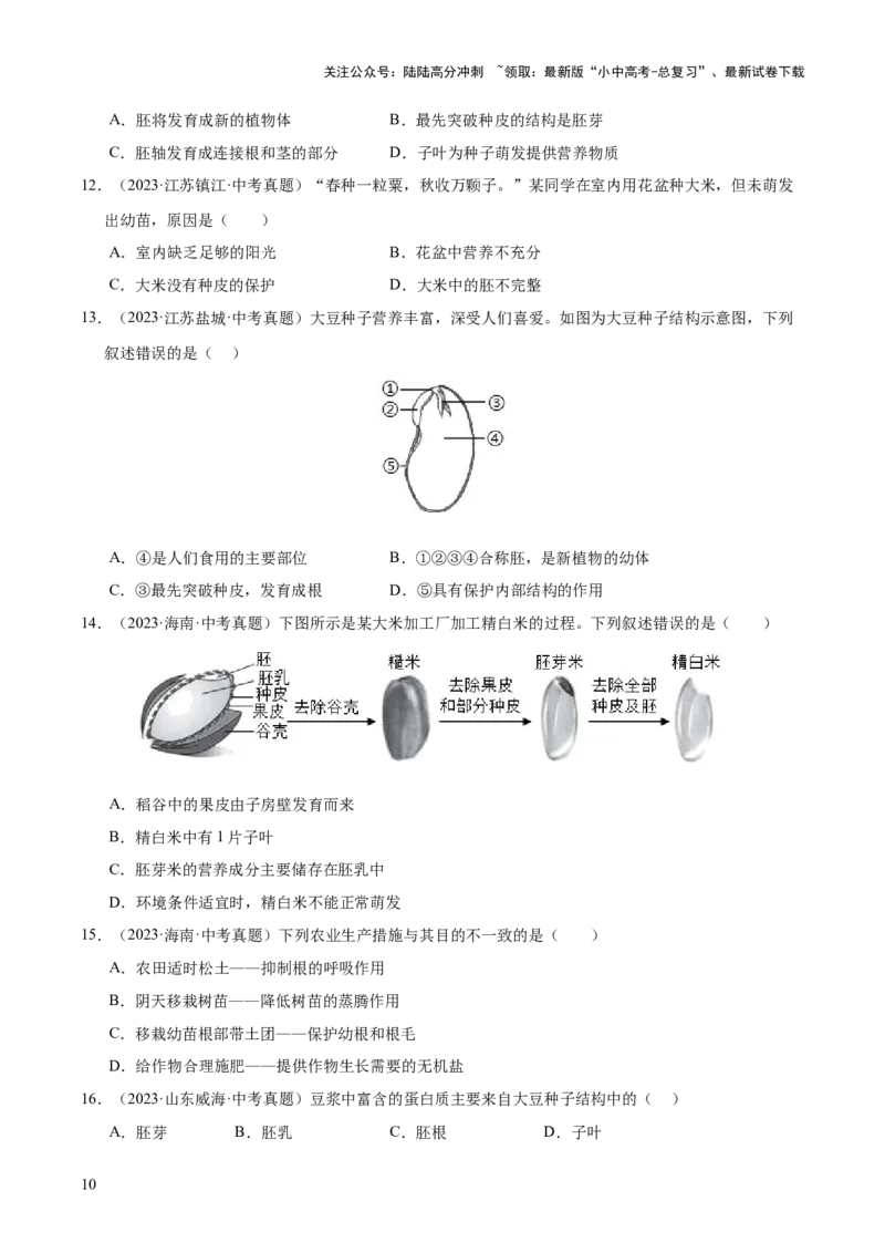 专题03绿色开花植物的一生（全国通用）（原卷版）_02中考总复习（2026版更新中）_08-生物-中考总复习_2026年中考复习（更新中）