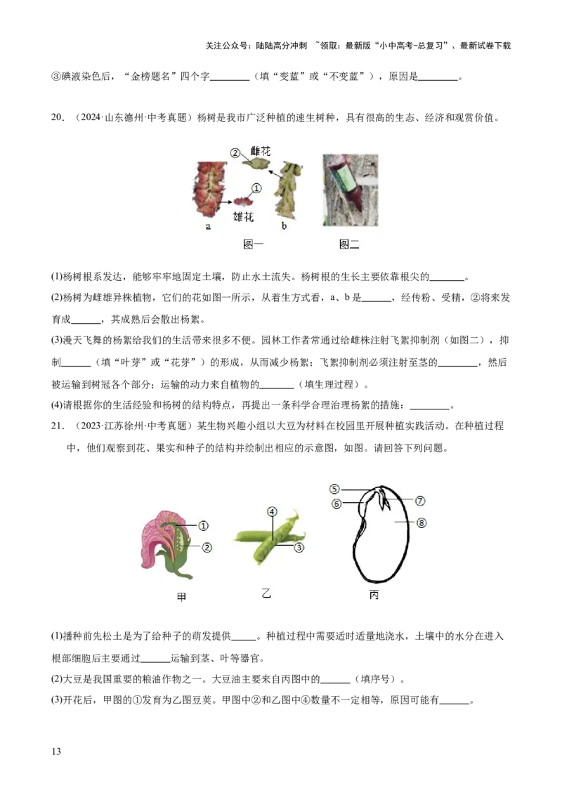 专题03绿色开花植物的一生（全国通用）（原卷版）_02中考总复习（2026版更新中）_08-生物-中考总复习_2026年中考复习（更新中）