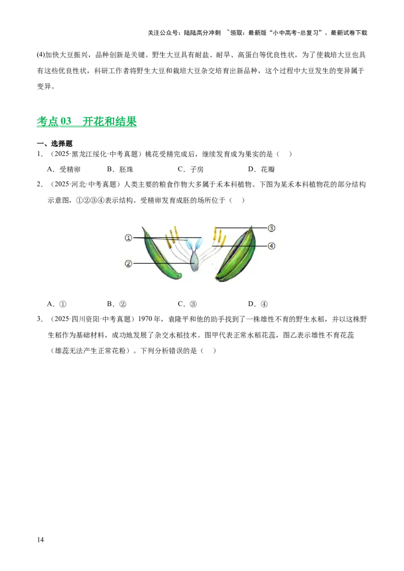 专题03绿色开花植物的一生（全国通用）（原卷版）_02中考总复习（2026版更新中）_08-生物-中考总复习_2026年中考复习（更新中）