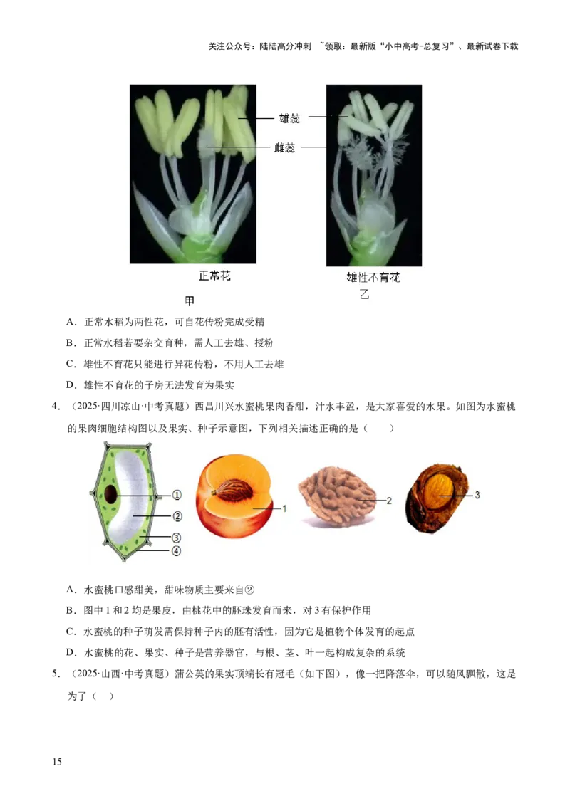 专题03绿色开花植物的一生（全国通用）（原卷版）_02中考总复习（2026版更新中）_08-生物-中考总复习_2026年中考复习（更新中）