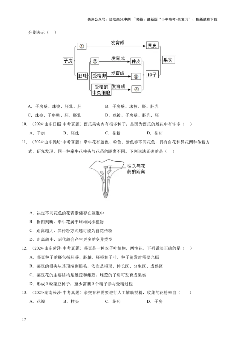 专题03绿色开花植物的一生（全国通用）（原卷版）_02中考总复习（2026版更新中）_08-生物-中考总复习_2026年中考复习（更新中）