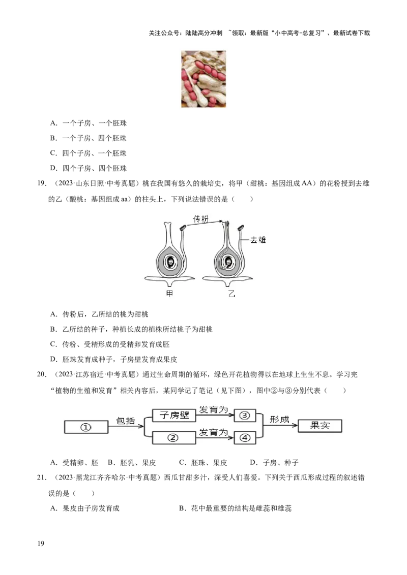 专题03绿色开花植物的一生（全国通用）（原卷版）_02中考总复习（2026版更新中）_08-生物-中考总复习_2026年中考复习（更新中）