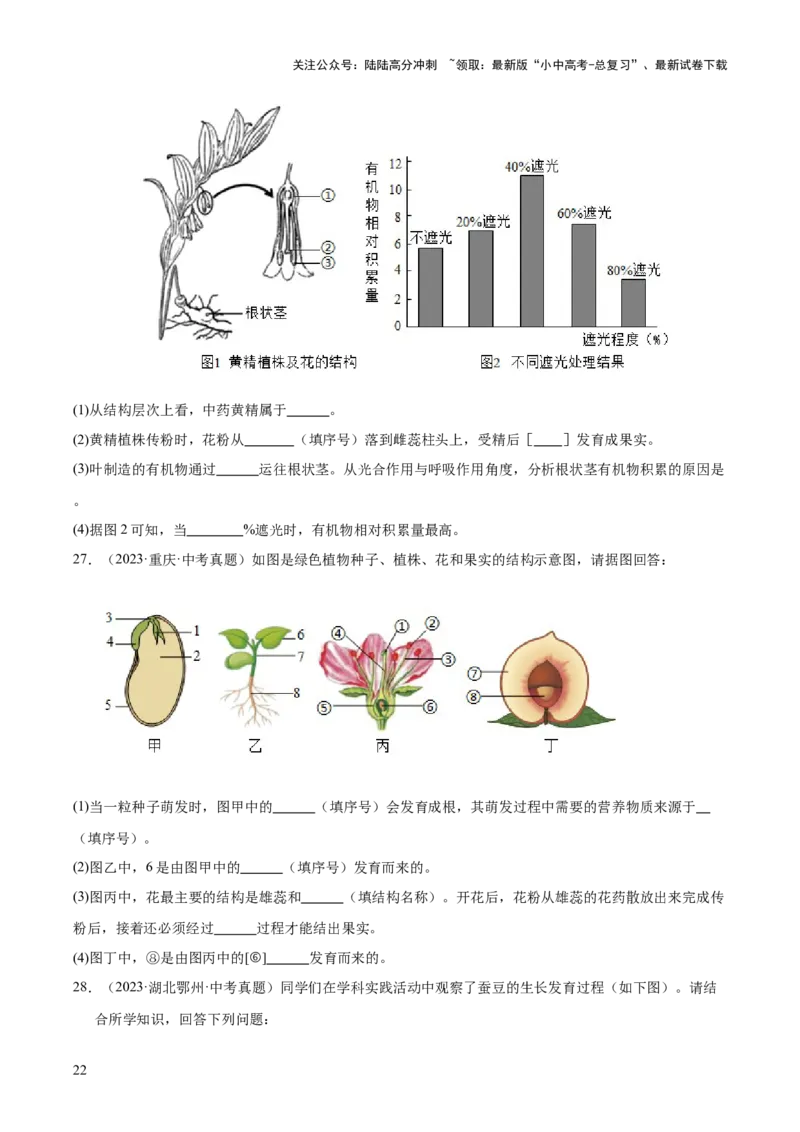 专题03绿色开花植物的一生（全国通用）（原卷版）_02中考总复习（2026版更新中）_08-生物-中考总复习_2026年中考复习（更新中）