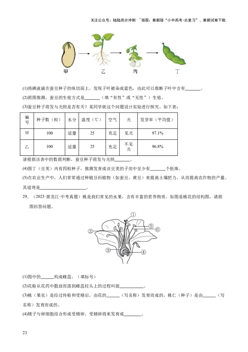 专题03绿色开花植物的一生（全国通用）（原卷版）_02中考总复习（2026版更新中）_08-生物-中考总复习_2026年中考复习（更新中）