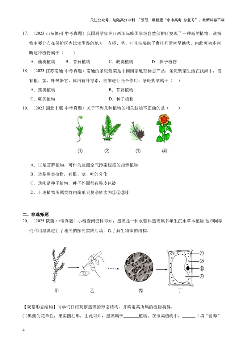 专题03绿色开花植物的一生（全国通用）（原卷版）_02中考总复习（2026版更新中）_08-生物-中考总复习_2026年中考复习（更新中）