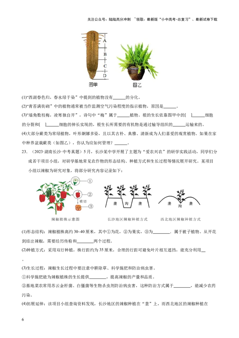 专题03绿色开花植物的一生（全国通用）（原卷版）_02中考总复习（2026版更新中）_08-生物-中考总复习_2026年中考复习（更新中）