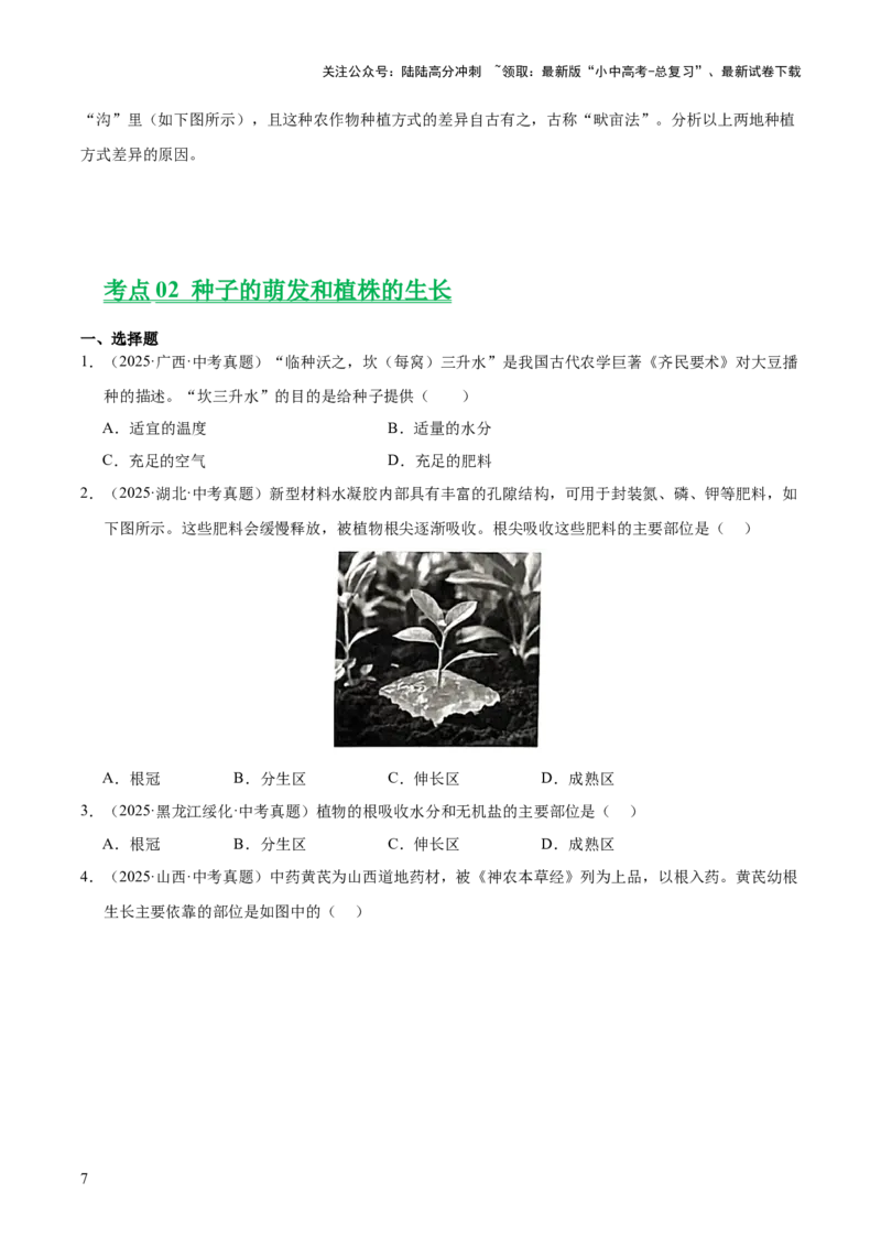 专题03绿色开花植物的一生（全国通用）（原卷版）_02中考总复习（2026版更新中）_08-生物-中考总复习_2026年中考复习（更新中）