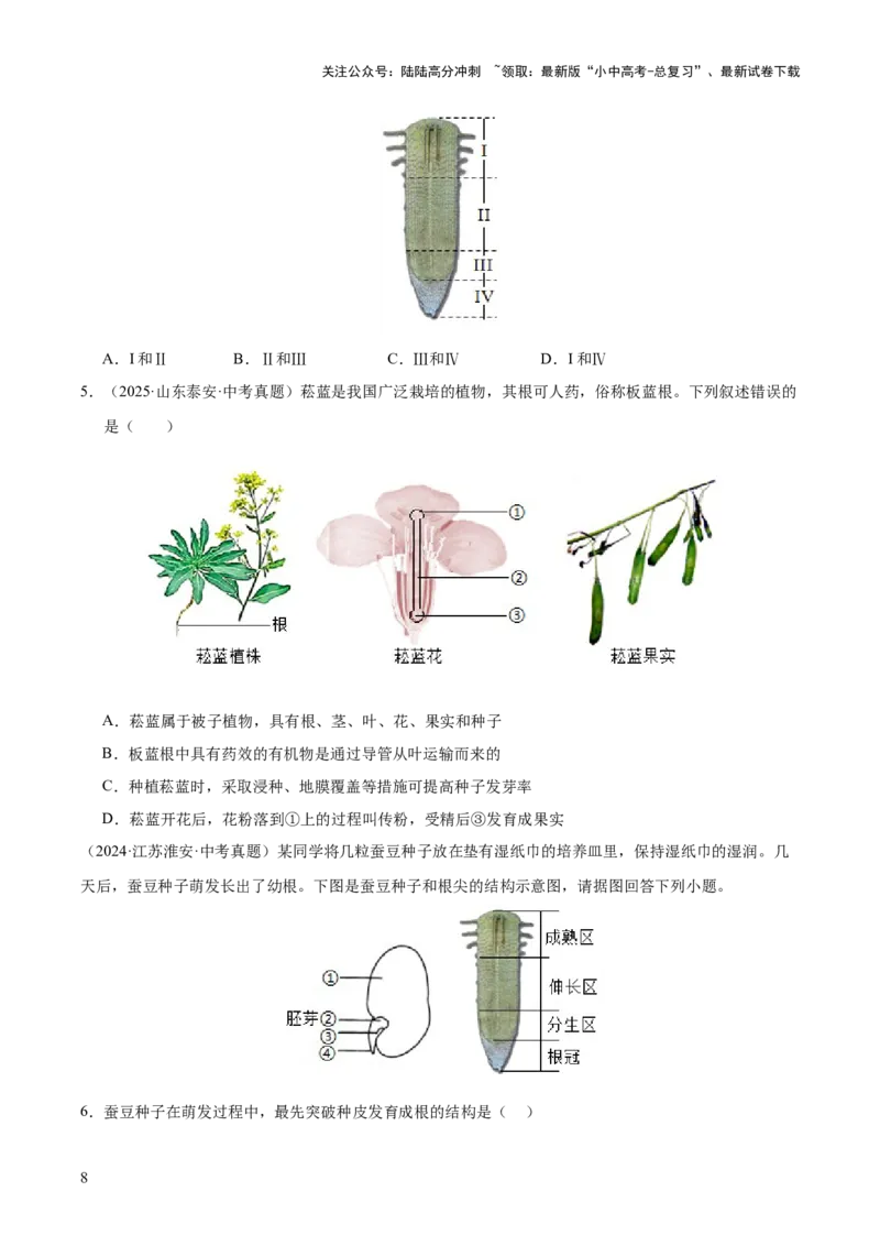 专题03绿色开花植物的一生（全国通用）（原卷版）_02中考总复习（2026版更新中）_08-生物-中考总复习_2026年中考复习（更新中）