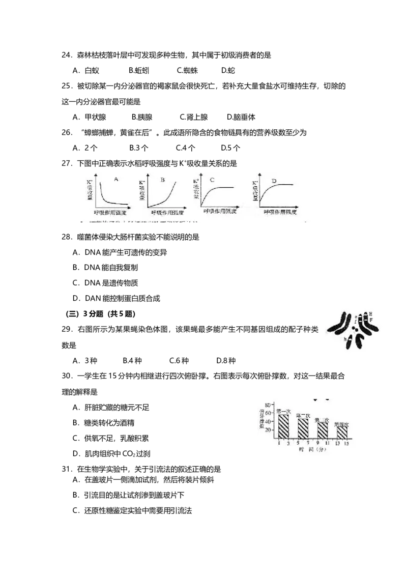 2004年上海市高中毕业统一学业考试生物试卷（答案版）_全国卷+地方卷_6.生物_1.生物高考真题试卷_2008-2020年_地方卷_上海高考生物真题01-20