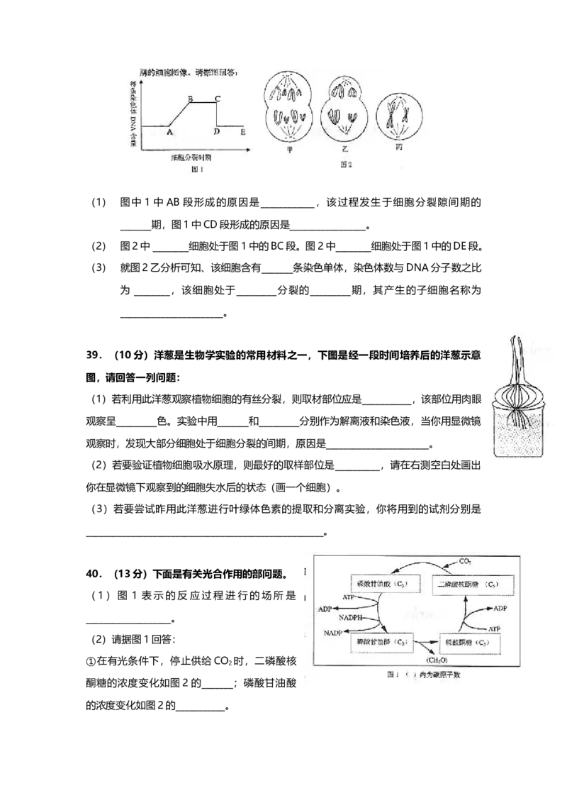 2004年上海市高中毕业统一学业考试生物试卷（答案版）_全国卷+地方卷_6.生物_1.生物高考真题试卷_2008-2020年_地方卷_上海高考生物真题01-20