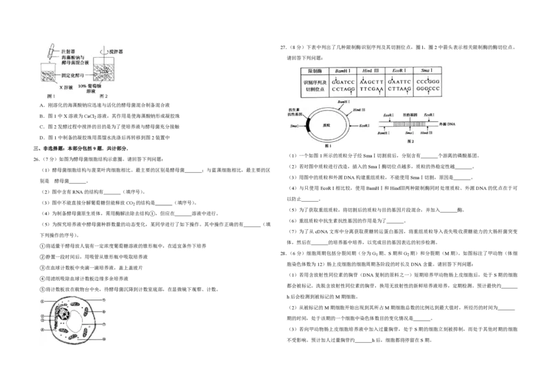 2010年江苏省高考生物试卷_全国卷+地方卷_6.生物_1.生物高考真题试卷_2008-2020年_地方卷_江苏高考生物07-20_A3word版_PDF版（赠送）
