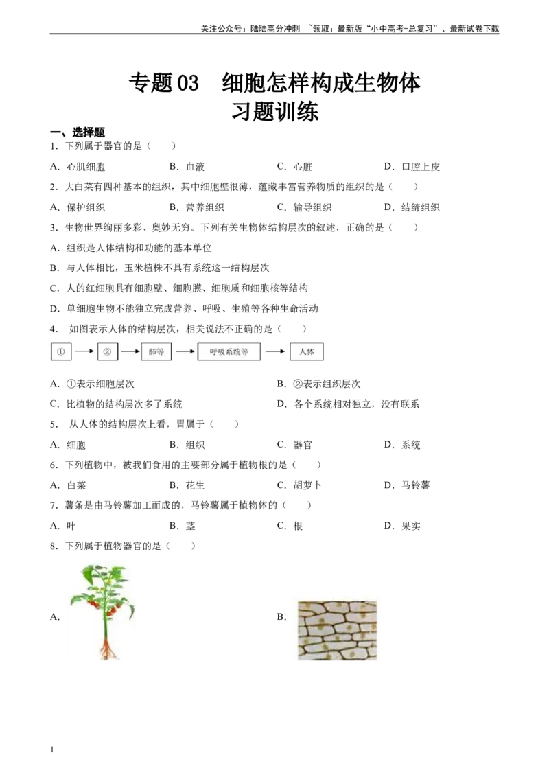 专题03细胞怎样构成生物体（原卷版）_02中考总复习（2026版更新中）_08-生物-中考总复习_2024年中考复习资料_一轮复习_省心备考2024年中考生物一轮复习精讲精练（全国通用）