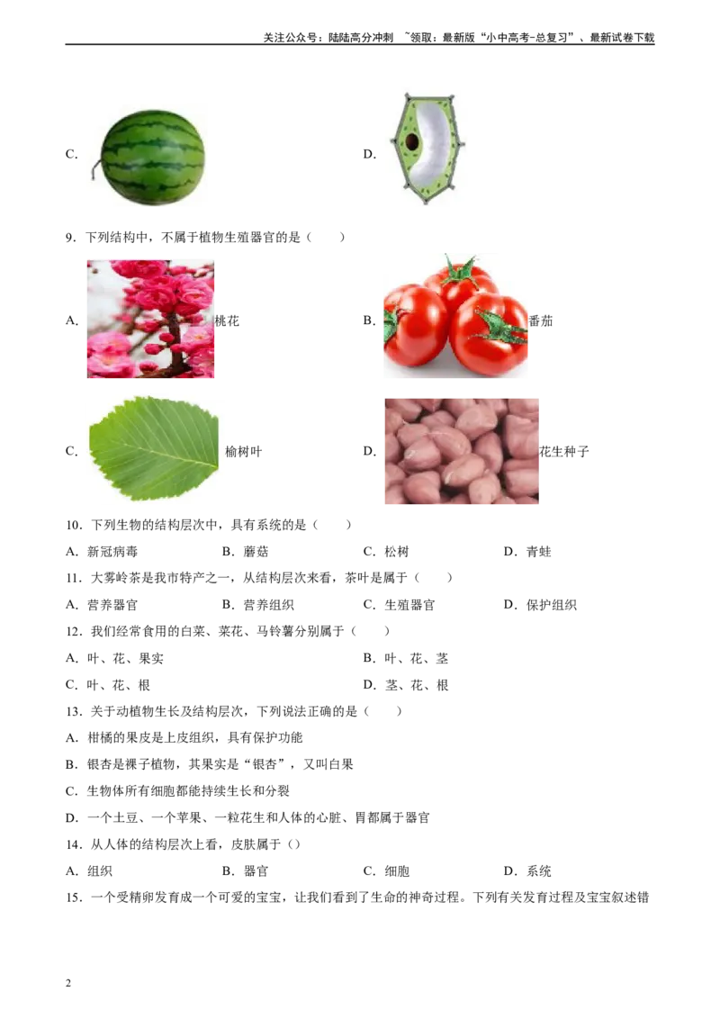 专题03细胞怎样构成生物体（原卷版）_02中考总复习（2026版更新中）_08-生物-中考总复习_2024年中考复习资料_一轮复习_省心备考2024年中考生物一轮复习精讲精练（全国通用）