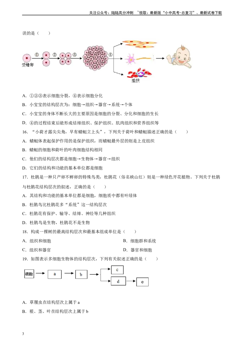 专题03细胞怎样构成生物体（原卷版）_02中考总复习（2026版更新中）_08-生物-中考总复习_2024年中考复习资料_一轮复习_省心备考2024年中考生物一轮复习精讲精练（全国通用）