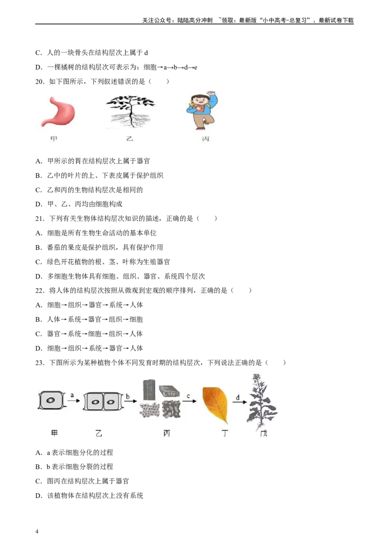 专题03细胞怎样构成生物体（原卷版）_02中考总复习（2026版更新中）_08-生物-中考总复习_2024年中考复习资料_一轮复习_省心备考2024年中考生物一轮复习精讲精练（全国通用）