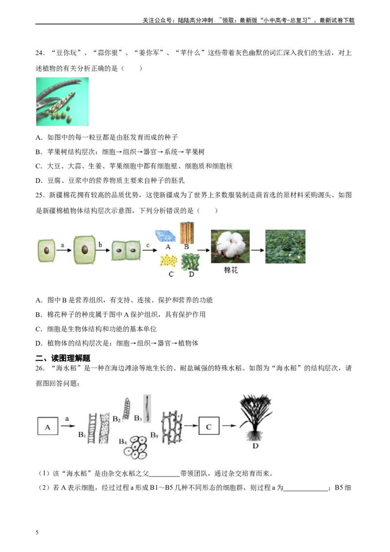 专题03细胞怎样构成生物体（原卷版）_02中考总复习（2026版更新中）_08-生物-中考总复习_2024年中考复习资料_一轮复习_省心备考2024年中考生物一轮复习精讲精练（全国通用）