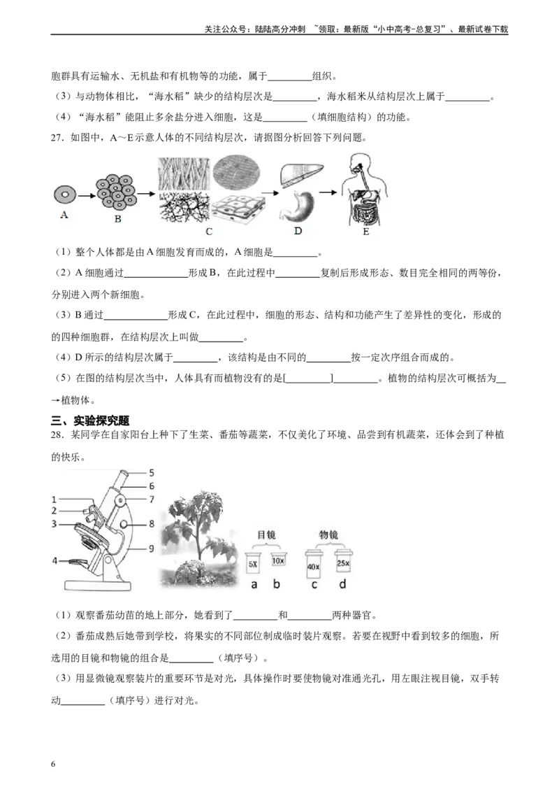专题03细胞怎样构成生物体（原卷版）_02中考总复习（2026版更新中）_08-生物-中考总复习_2024年中考复习资料_一轮复习_省心备考2024年中考生物一轮复习精讲精练（全国通用）