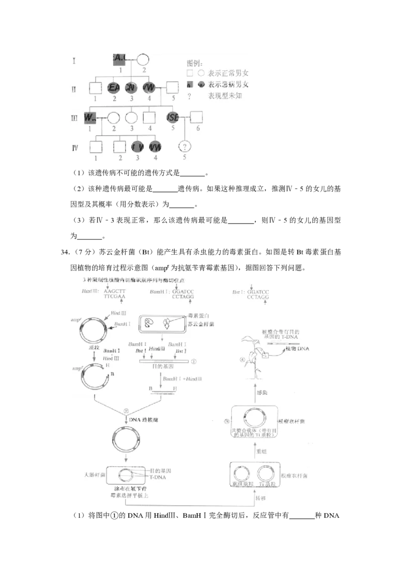 2009年江苏省高考生物试卷_全国卷+地方卷_6.生物_1.生物高考真题试卷_2008-2020年_地方卷_江苏高考生物07-20_A4word版_PDF版（赠送）