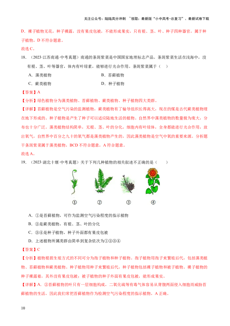 专题03绿色开花植物的一生（全国通用）（解析版）_02中考总复习（2026版更新中）_08-生物-中考总复习_2026年中考复习（更新中）