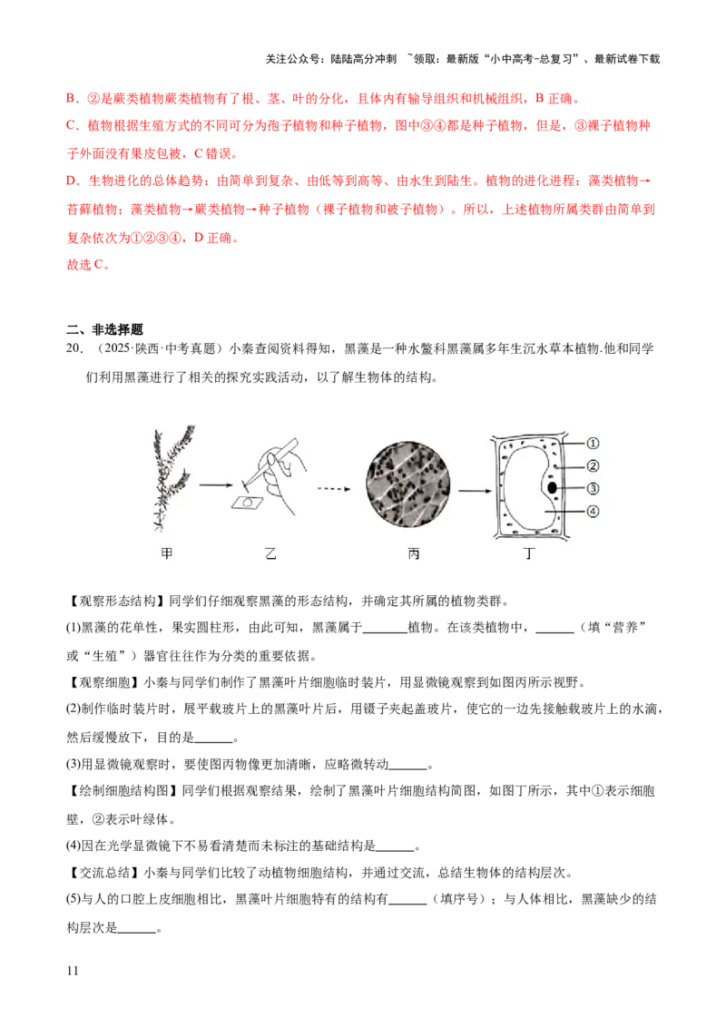 专题03绿色开花植物的一生（全国通用）（解析版）_02中考总复习（2026版更新中）_08-生物-中考总复习_2026年中考复习（更新中）