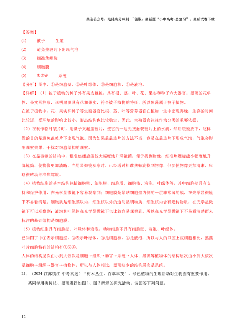 专题03绿色开花植物的一生（全国通用）（解析版）_02中考总复习（2026版更新中）_08-生物-中考总复习_2026年中考复习（更新中）