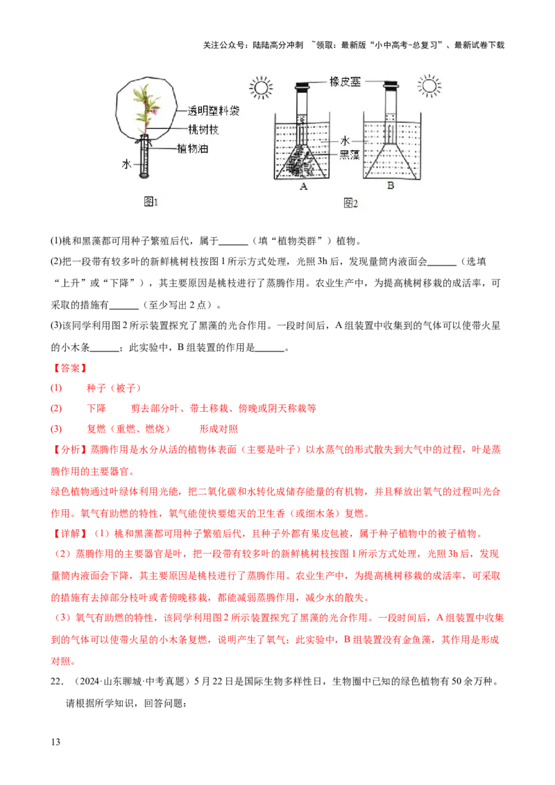 专题03绿色开花植物的一生（全国通用）（解析版）_02中考总复习（2026版更新中）_08-生物-中考总复习_2026年中考复习（更新中）