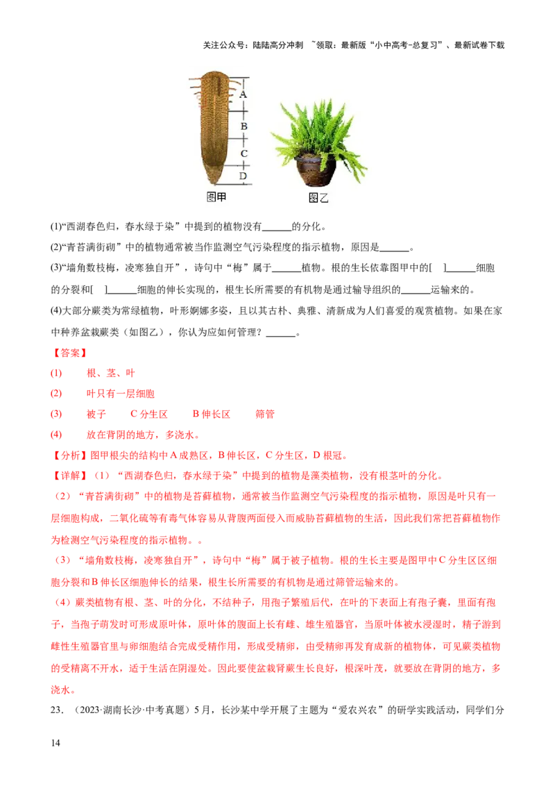 专题03绿色开花植物的一生（全国通用）（解析版）_02中考总复习（2026版更新中）_08-生物-中考总复习_2026年中考复习（更新中）