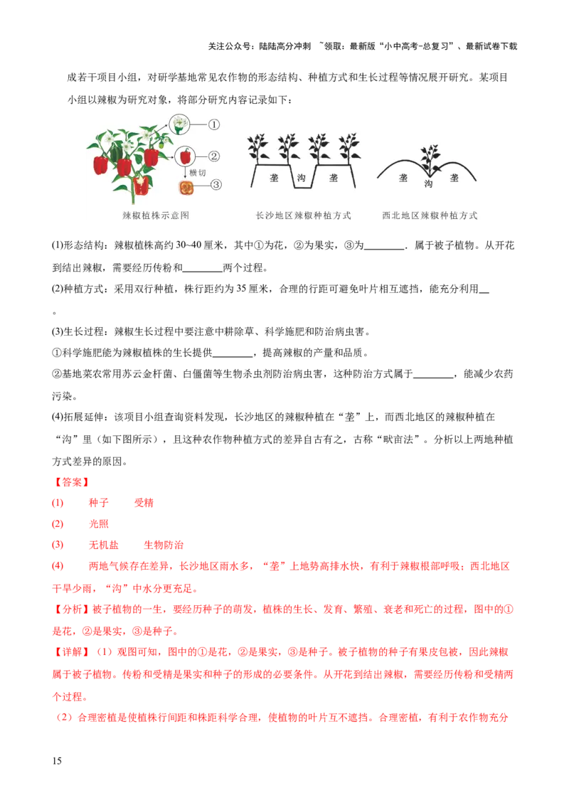 专题03绿色开花植物的一生（全国通用）（解析版）_02中考总复习（2026版更新中）_08-生物-中考总复习_2026年中考复习（更新中）