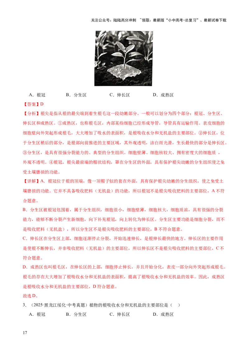 专题03绿色开花植物的一生（全国通用）（解析版）_02中考总复习（2026版更新中）_08-生物-中考总复习_2026年中考复习（更新中）