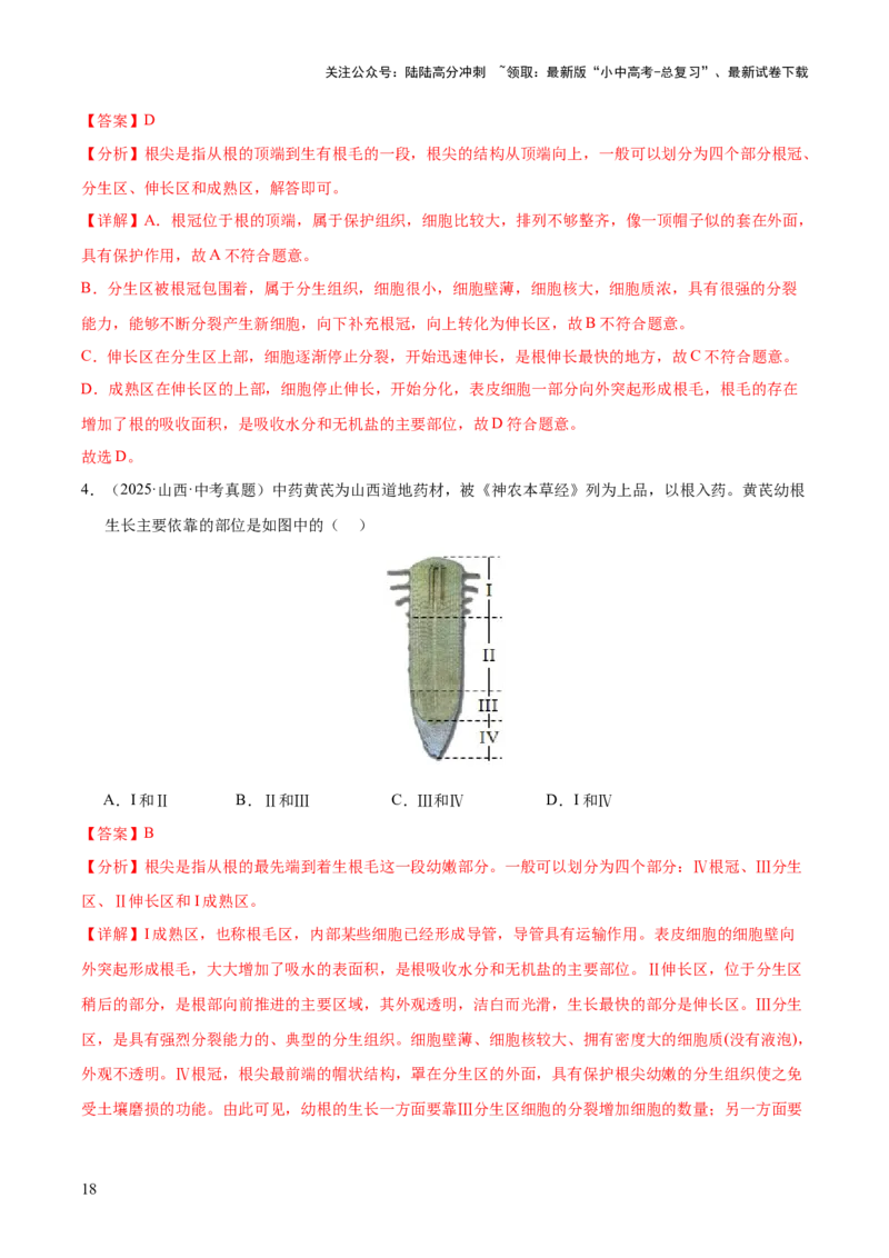 专题03绿色开花植物的一生（全国通用）（解析版）_02中考总复习（2026版更新中）_08-生物-中考总复习_2026年中考复习（更新中）