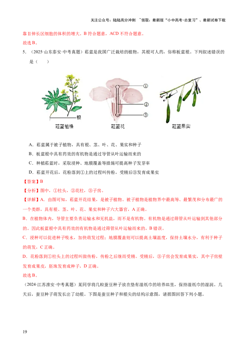 专题03绿色开花植物的一生（全国通用）（解析版）_02中考总复习（2026版更新中）_08-生物-中考总复习_2026年中考复习（更新中）