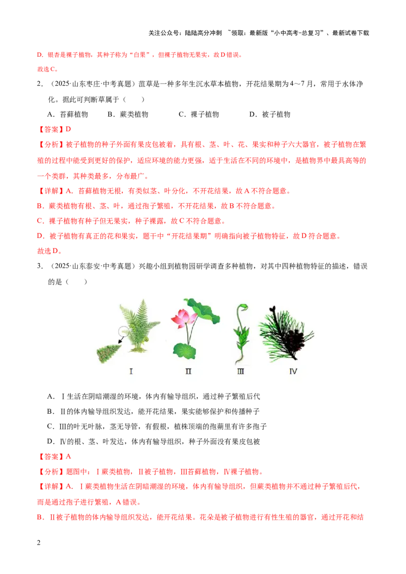 专题03绿色开花植物的一生（全国通用）（解析版）_02中考总复习（2026版更新中）_08-生物-中考总复习_2026年中考复习（更新中）