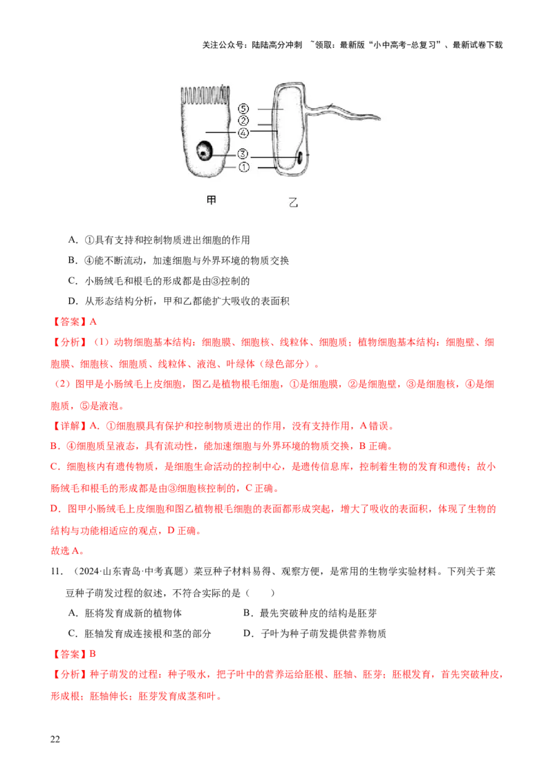 专题03绿色开花植物的一生（全国通用）（解析版）_02中考总复习（2026版更新中）_08-生物-中考总复习_2026年中考复习（更新中）