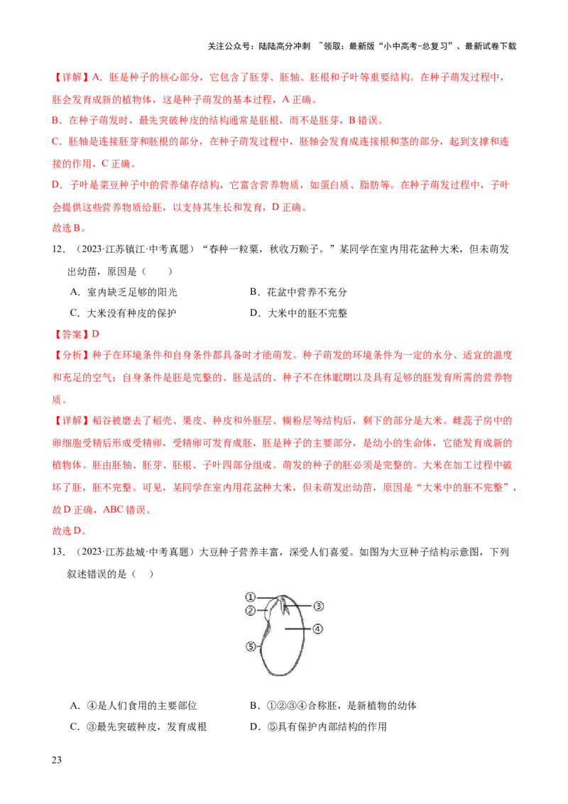 专题03绿色开花植物的一生（全国通用）（解析版）_02中考总复习（2026版更新中）_08-生物-中考总复习_2026年中考复习（更新中）