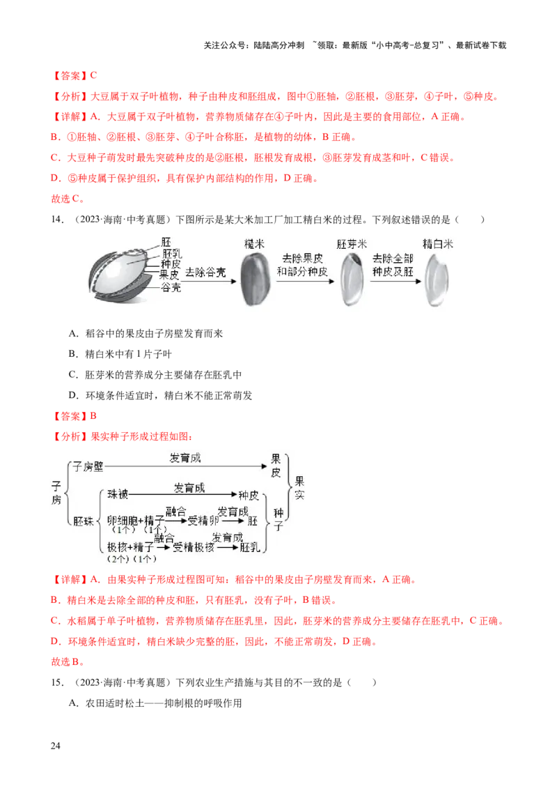 专题03绿色开花植物的一生（全国通用）（解析版）_02中考总复习（2026版更新中）_08-生物-中考总复习_2026年中考复习（更新中）