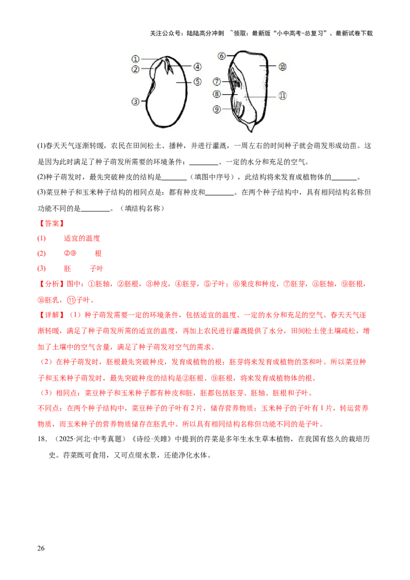 专题03绿色开花植物的一生（全国通用）（解析版）_02中考总复习（2026版更新中）_08-生物-中考总复习_2026年中考复习（更新中）