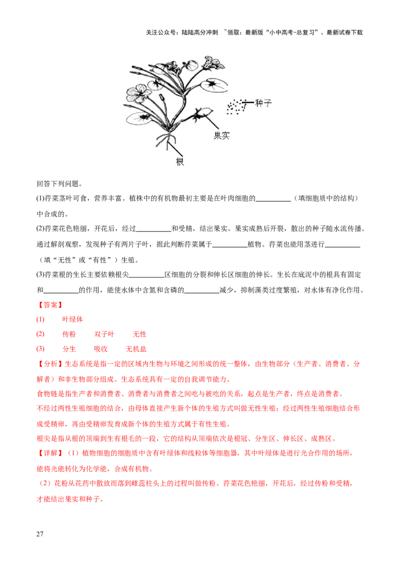 专题03绿色开花植物的一生（全国通用）（解析版）_02中考总复习（2026版更新中）_08-生物-中考总复习_2026年中考复习（更新中）