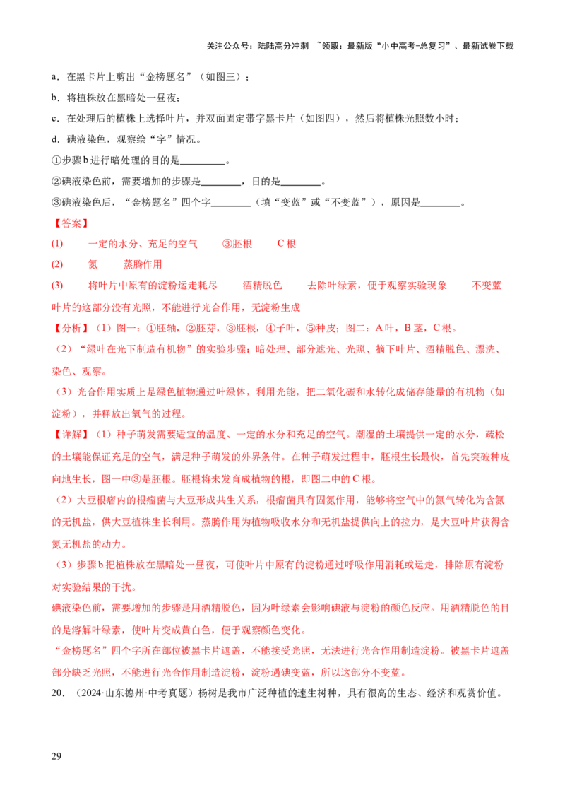 专题03绿色开花植物的一生（全国通用）（解析版）_02中考总复习（2026版更新中）_08-生物-中考总复习_2026年中考复习（更新中）