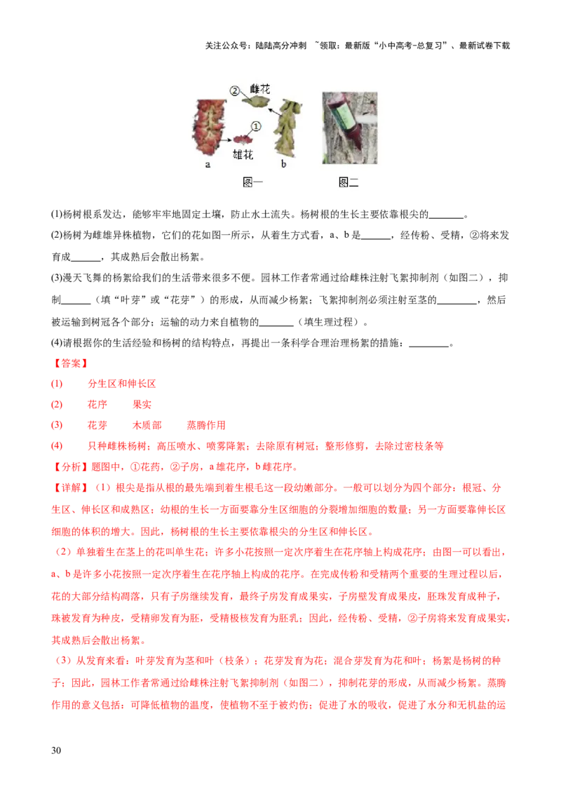 专题03绿色开花植物的一生（全国通用）（解析版）_02中考总复习（2026版更新中）_08-生物-中考总复习_2026年中考复习（更新中）