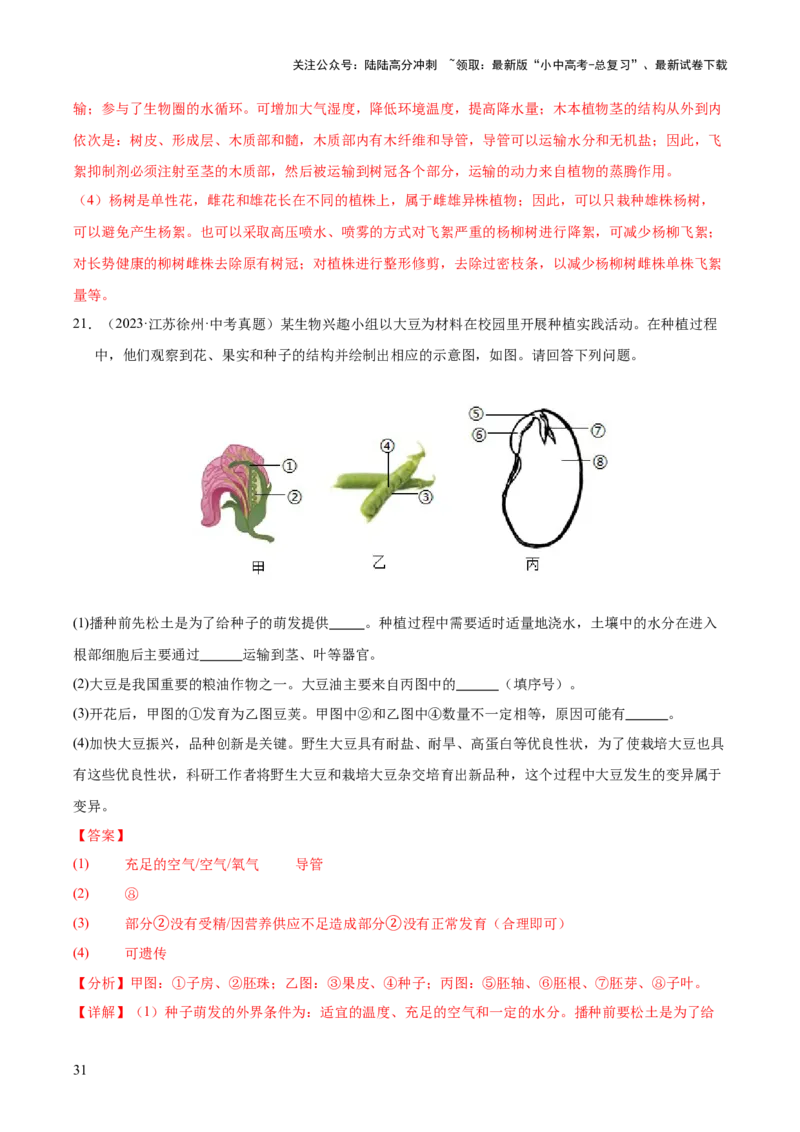 专题03绿色开花植物的一生（全国通用）（解析版）_02中考总复习（2026版更新中）_08-生物-中考总复习_2026年中考复习（更新中）