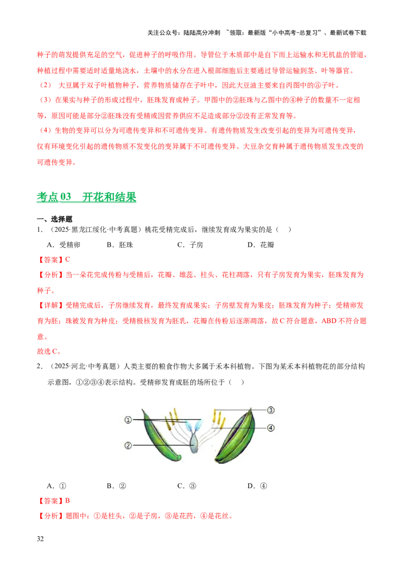 专题03绿色开花植物的一生（全国通用）（解析版）_02中考总复习（2026版更新中）_08-生物-中考总复习_2026年中考复习（更新中）