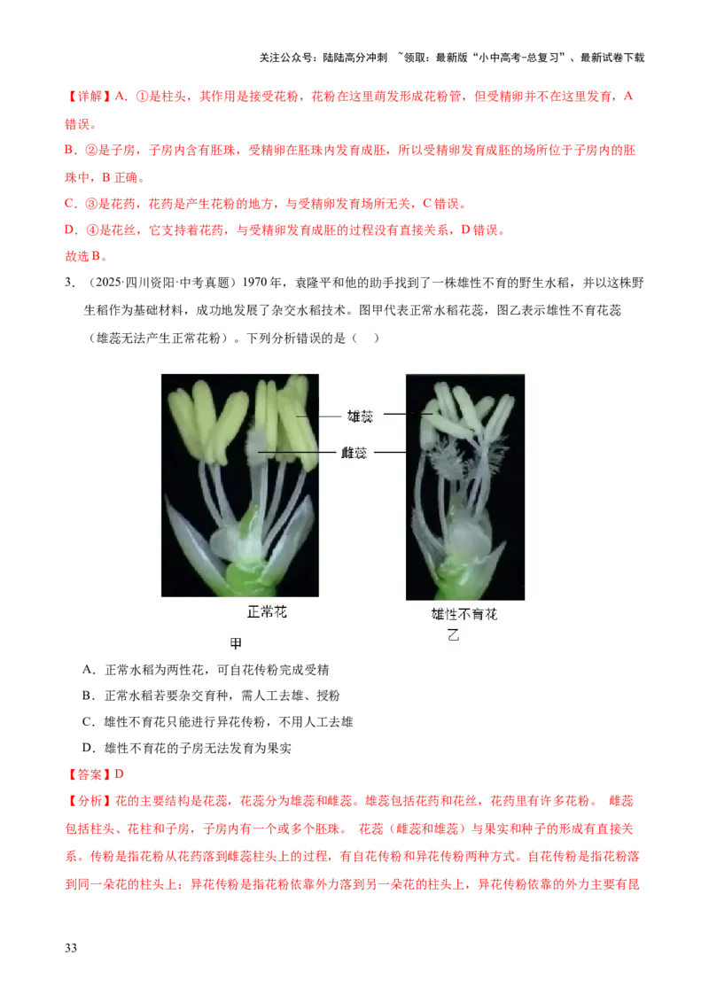 专题03绿色开花植物的一生（全国通用）（解析版）_02中考总复习（2026版更新中）_08-生物-中考总复习_2026年中考复习（更新中）