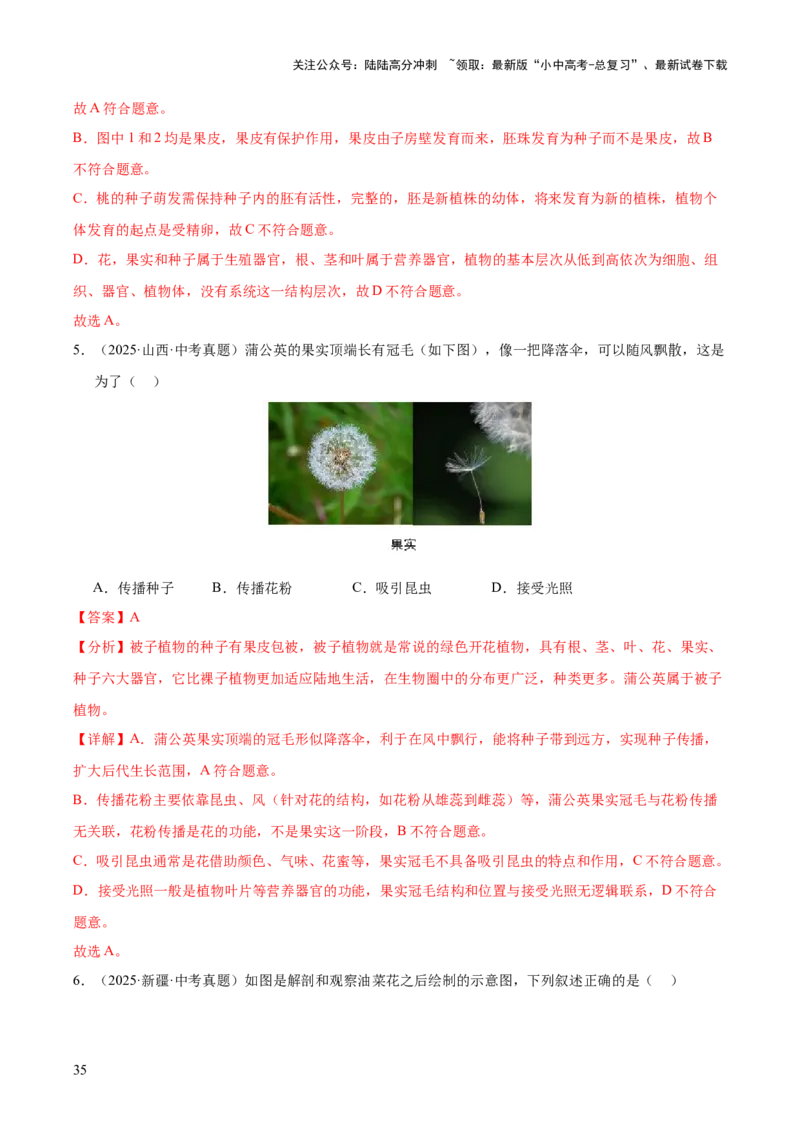 专题03绿色开花植物的一生（全国通用）（解析版）_02中考总复习（2026版更新中）_08-生物-中考总复习_2026年中考复习（更新中）